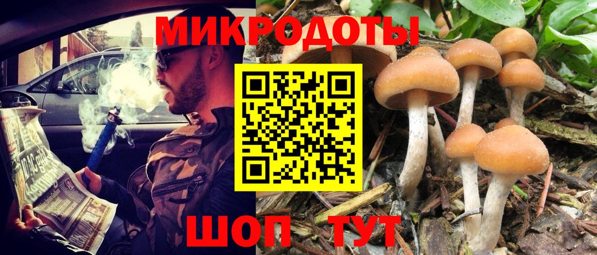 Людиново  Псилоцибиновые грибы Magic Shrooms  Галлюциногенные грибы мицелий  Вход с VPN 